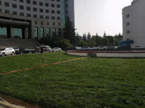 铜川市机关事务管理服务中心 以数据为基石，多措并举推动“我为群众办实事”落地见效