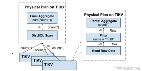 大数据存储组件TiDB原理与实战 数据处理和存储支持服务详解